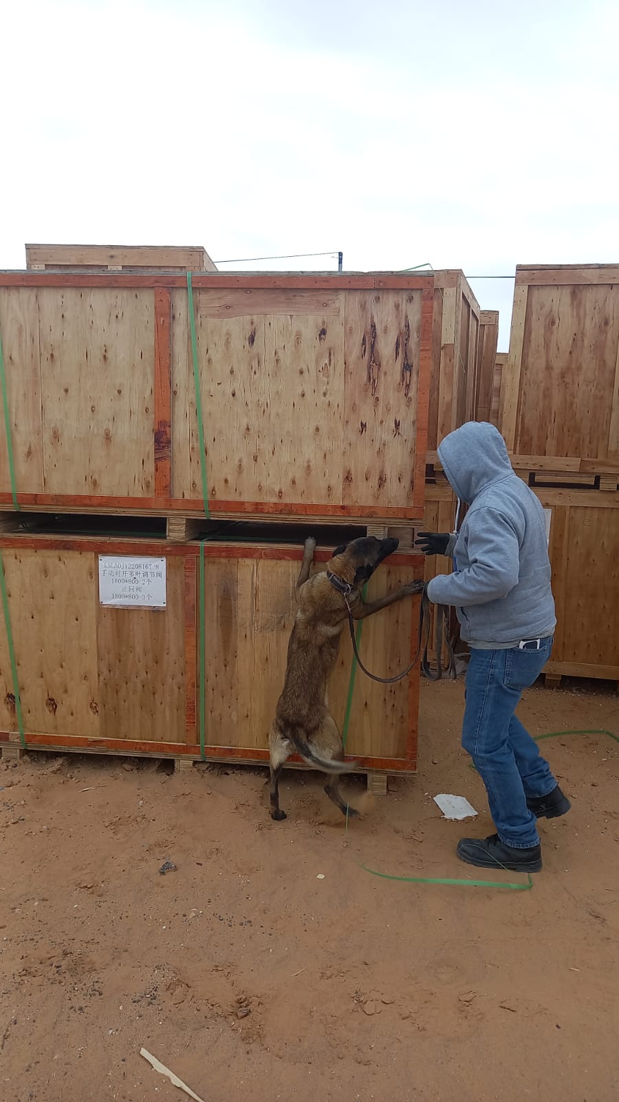 K9 3 K9 3