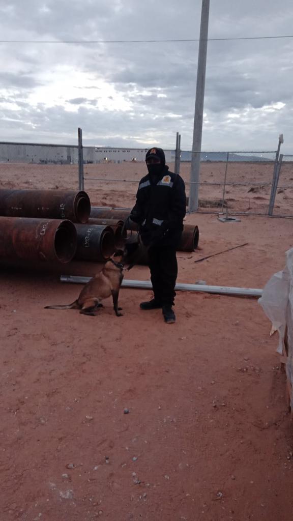 MASTER SECURITY SERVICE