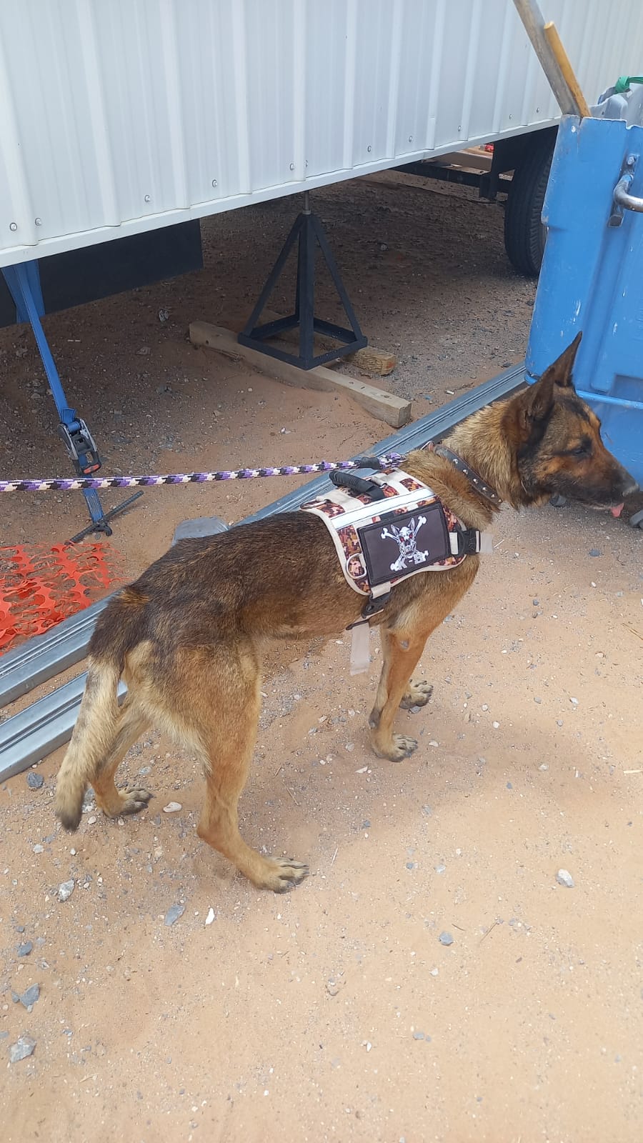 K9 MASTER 3 K9 MASTER 3